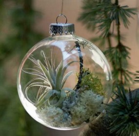 albero natale ecologico