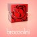 Borse Braccialini