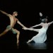 excelsior roberto bolle - scala milano excelsior roberto bolle - scala milano