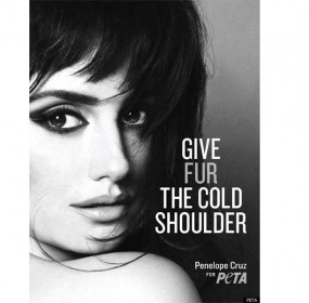 penelope cruz