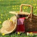 Picnic