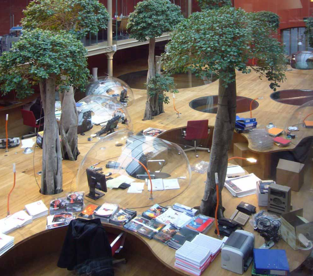 ufficio ficus