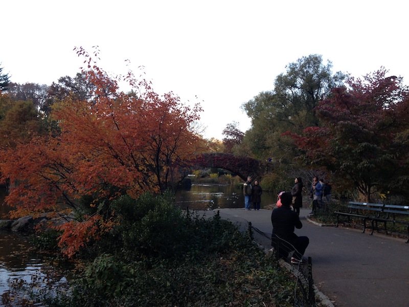 autumn central park